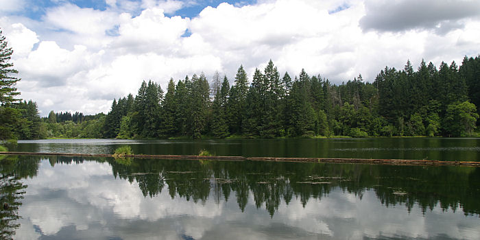 Lacamas Lake Park