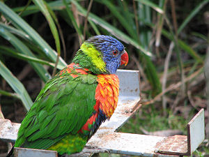 A preview - Oregon Zoo